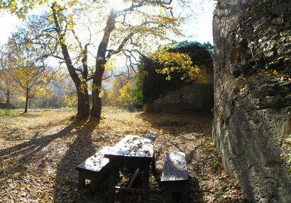 In 2015 the three field maples won fourth place with 368 votes in the competition Tree of Znojmo region.