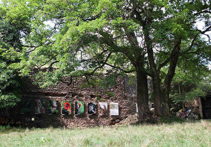 Die Fotowanderausstellung über den Thaya-Nationalpark (NP Podyjí) kam 2014 nach Neuhäusel.