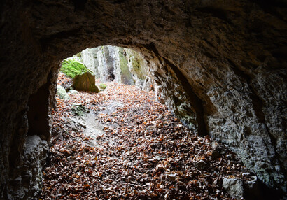 One of the cellars under the Old Castle.