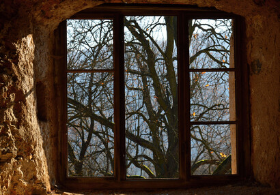 The wooden frames have remained in the window of the dining room.